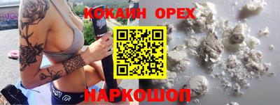 сатива Кингисепп