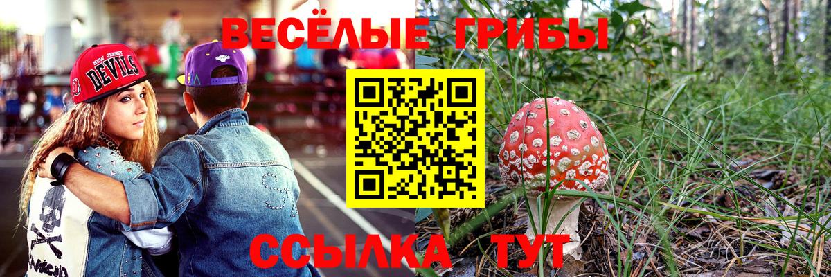 Галлюциногенные грибы мицелий Кудымкар
